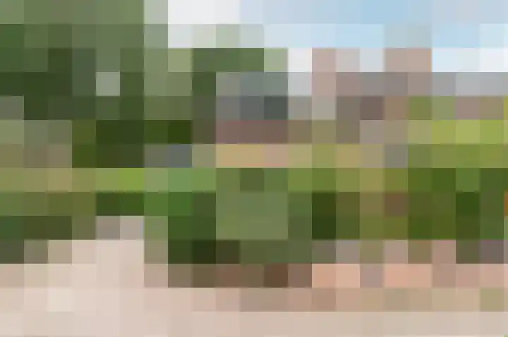 Grasmeent 14 Almere thumbnail 29