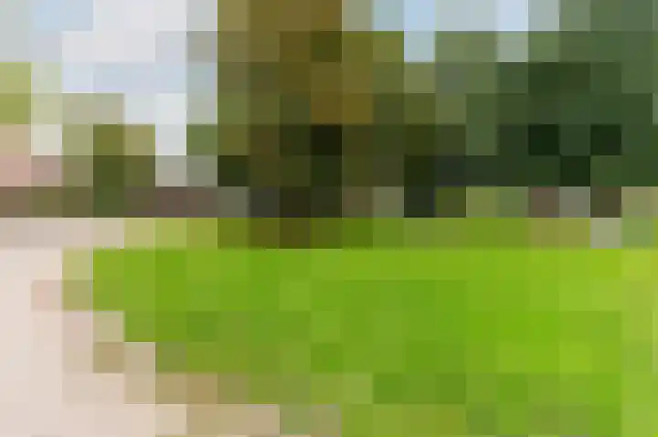 Grasmeent 14 Almere thumbnail 30