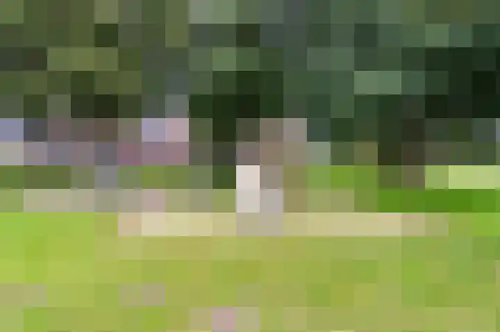 Grasmeent 14 Almere thumbnail 31