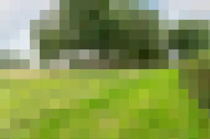 Grasmeent 14 Almere thumbnail 32