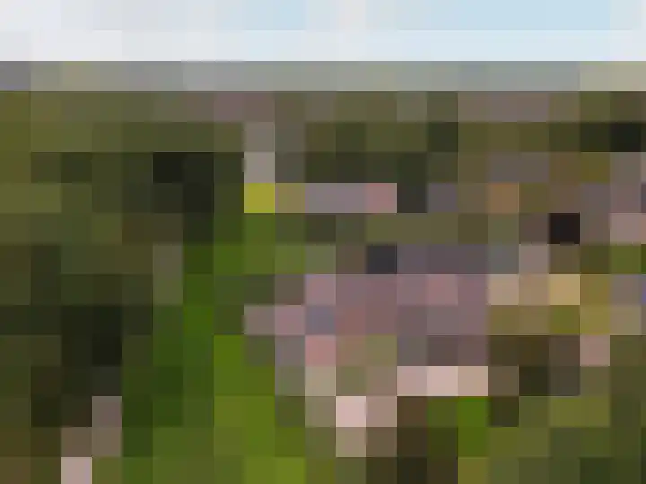 Grasmeent 14 Almere thumbnail 33
