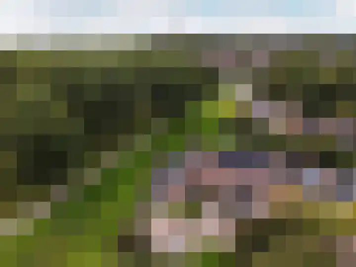 Grasmeent 14 Almere thumbnail 34