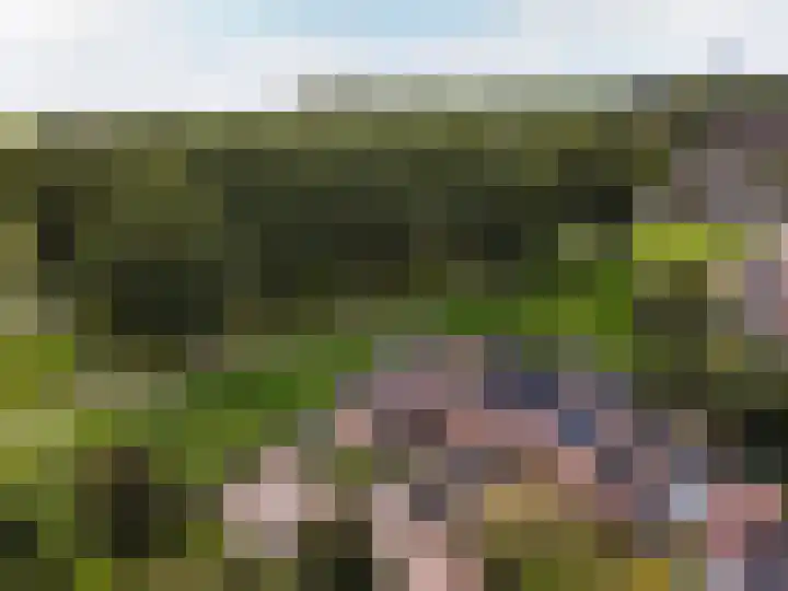 Grasmeent 14 Almere thumbnail 35