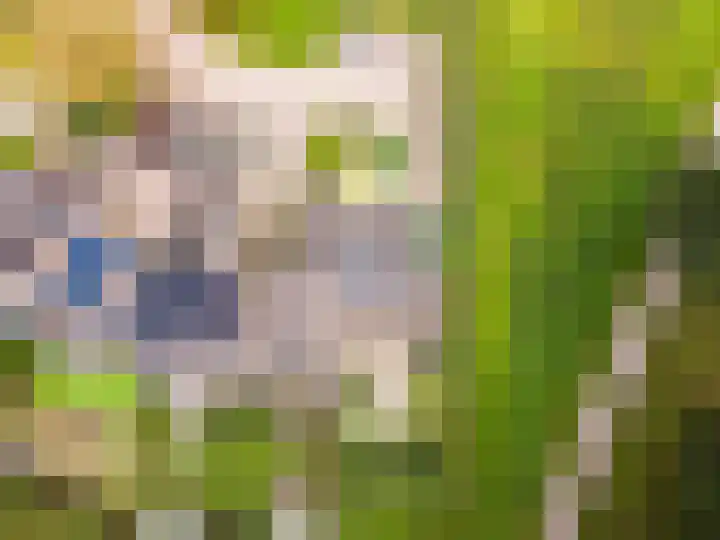 Grasmeent 14 Almere thumbnail 36
