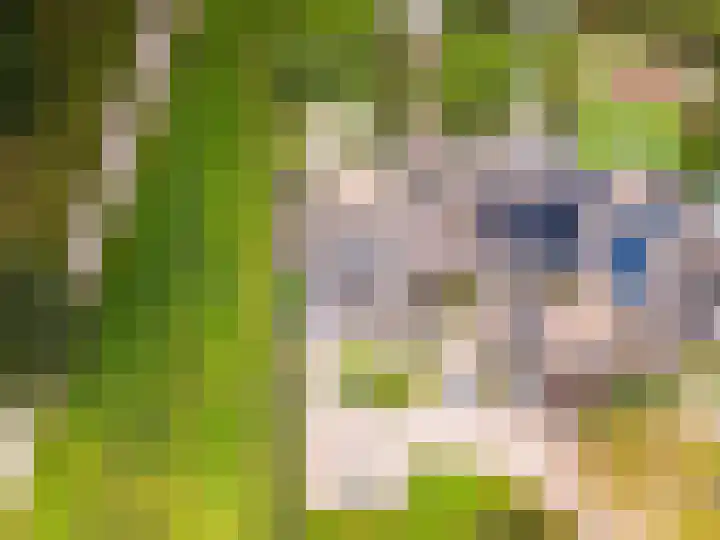 Grasmeent 14 Almere thumbnail 37