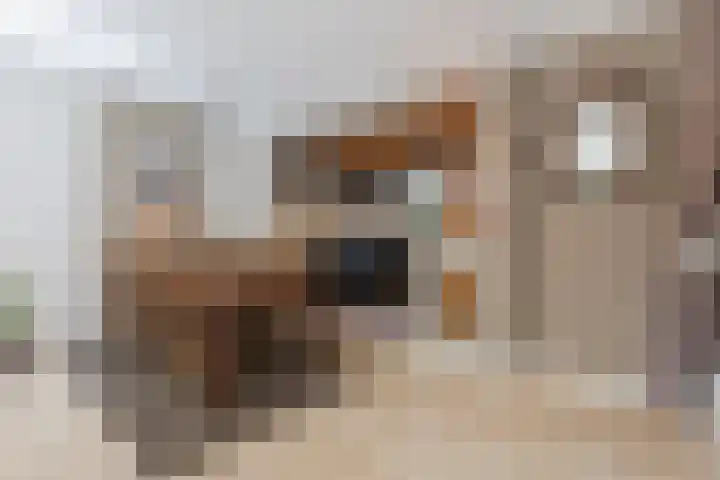 Grasmeent 6 Almere thumbnail 16
