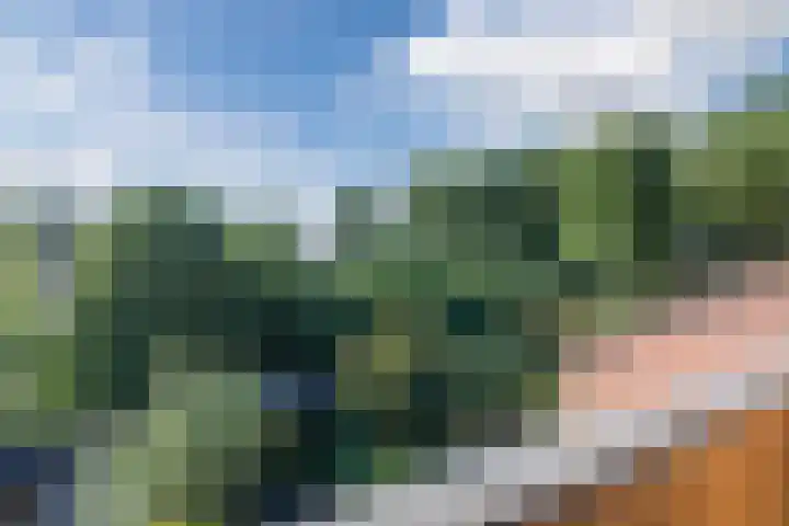 Grasmeent 6 Almere thumbnail 36