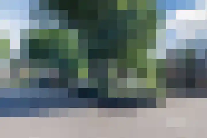 Grasmeent 6 Almere thumbnail 40