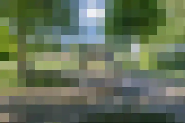 Grasmeent 6 Almere thumbnail 42