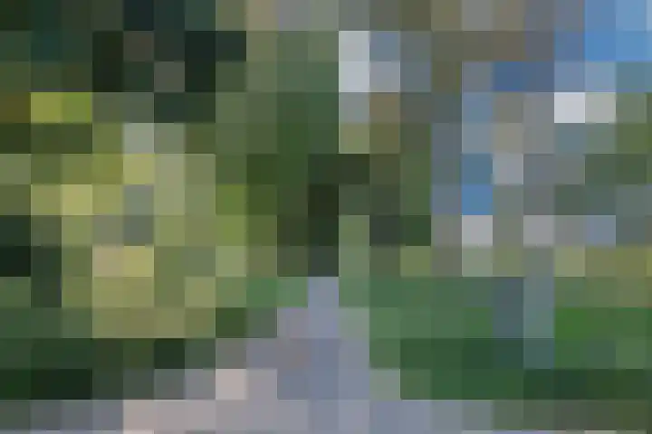Grasmeent 6 Almere thumbnail 45