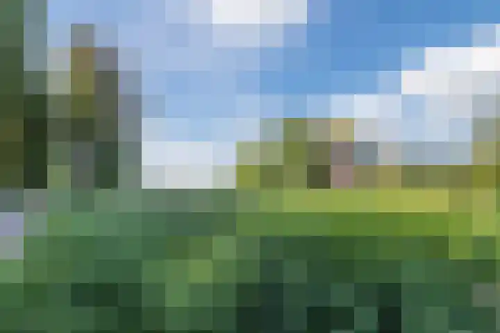 Grasmeent 6 Almere thumbnail 46