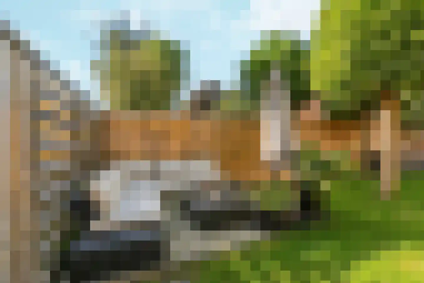 Grasmeent 68 Almere thumbnail 38