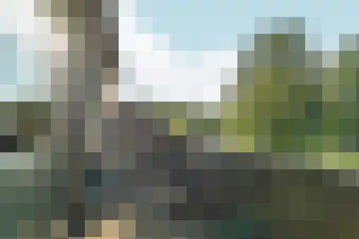 Grasmeent 87 Almere thumbnail 34