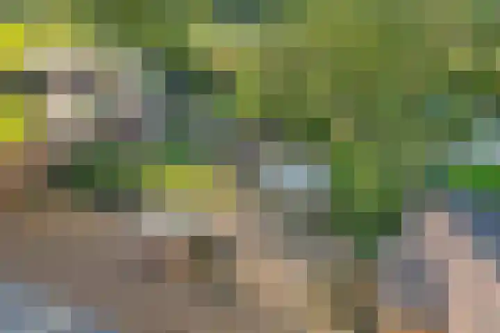 Grasmeent 87 Almere thumbnail 35