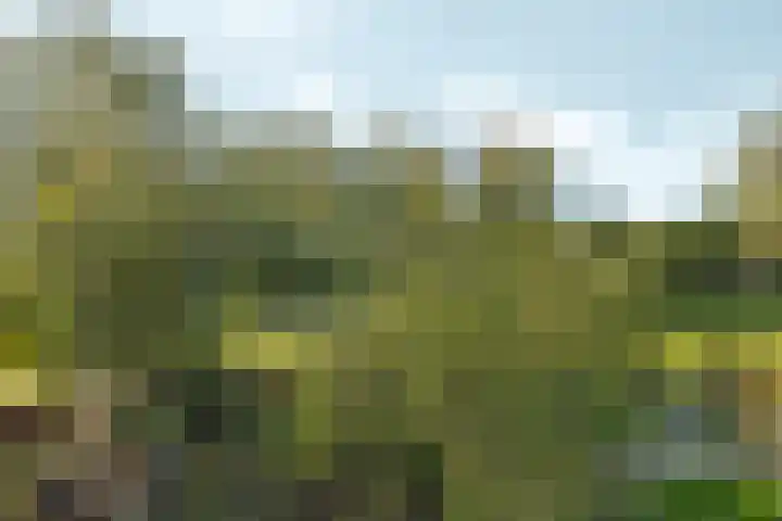 Grasmeent 87 Almere thumbnail 36