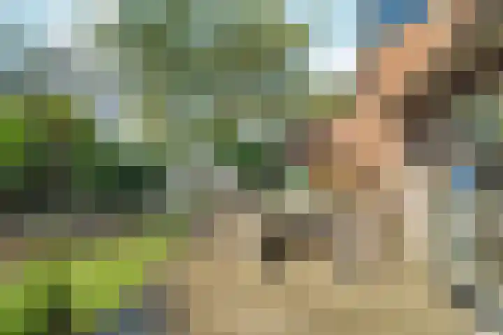 Grasmeent 87 Almere thumbnail 37