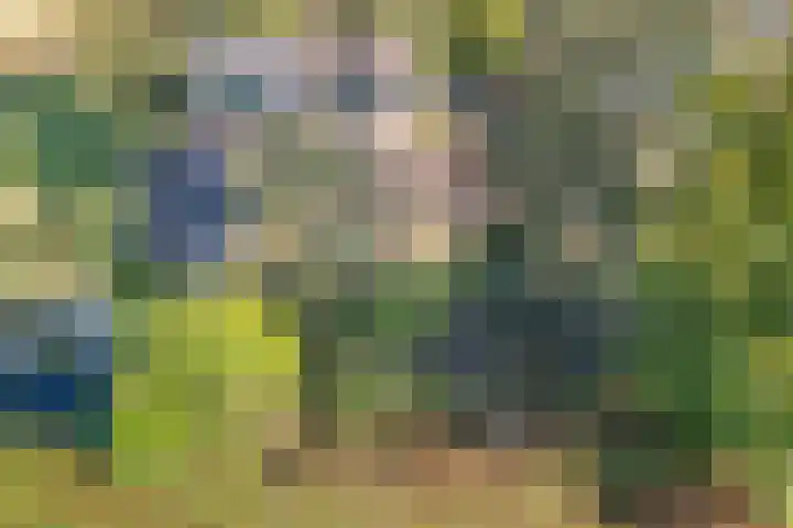 Grasmeent 87 Almere thumbnail 38