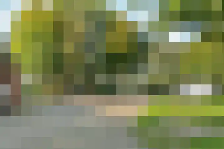 Grasmeent 87 Almere thumbnail 39
