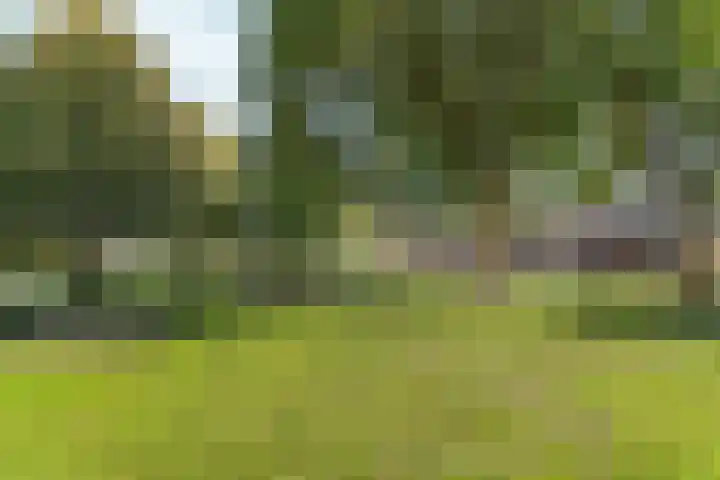 Grasmeent 87 Almere thumbnail 43