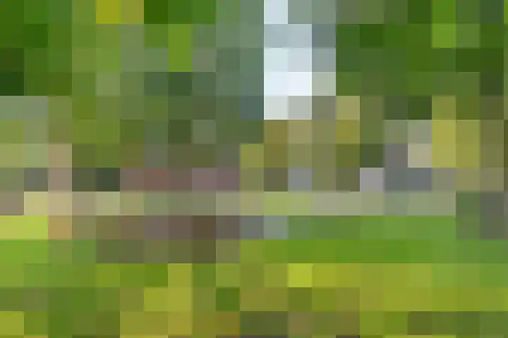Grasmeent 87 Almere thumbnail 5