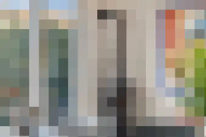Grasmeent 93 Almere thumbnail 24