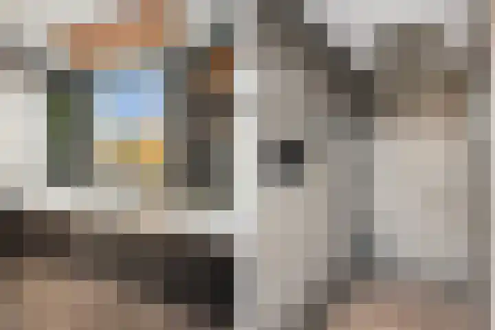 Grasmeent 93 Almere thumbnail 38