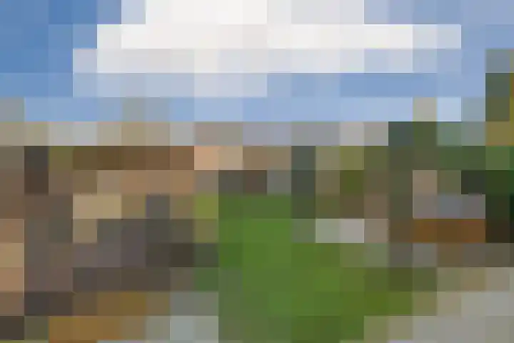 Grasmeent 93 Almere thumbnail 49