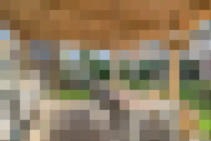 Grasmeent 93 Almere thumbnail 53