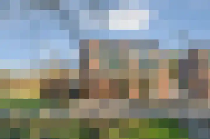 Grasmeent 93 Almere thumbnail 7