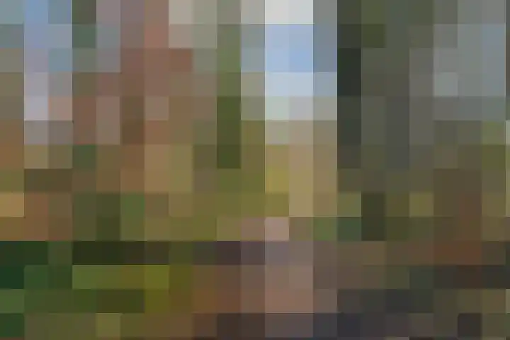 Grasmeent 93 Almere thumbnail 70