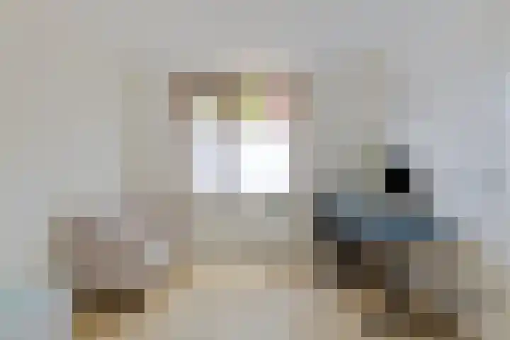 Grasmier 15 Eindhoven thumbnail 10