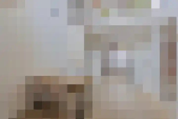 Grasmier 15 Eindhoven thumbnail 13