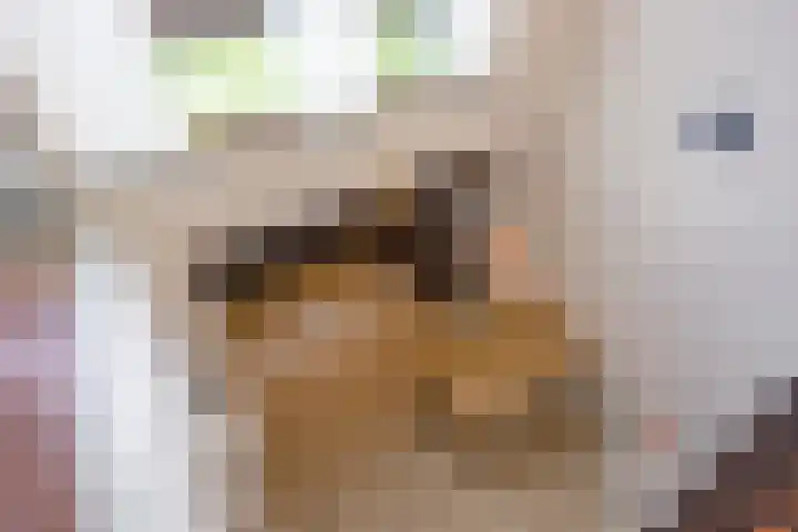 Grasmier 15 Eindhoven thumbnail 18