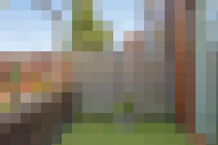 Grasmier 15 Eindhoven thumbnail 19