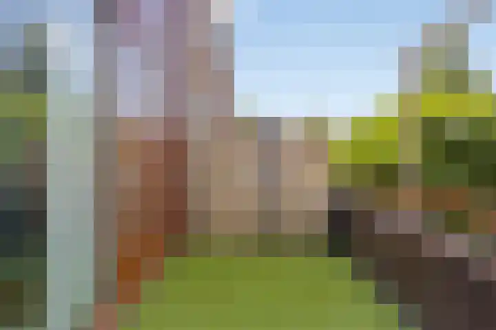 Grasmier 15 Eindhoven thumbnail 20