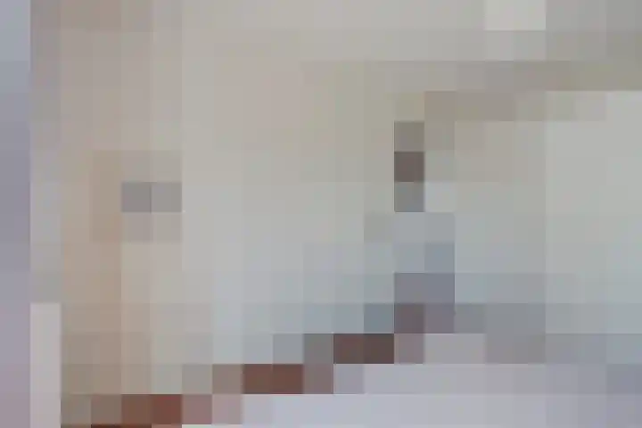 Grasmier 15 Eindhoven thumbnail 23