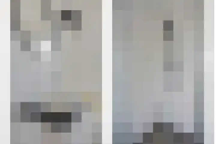Grasmier 15 Eindhoven thumbnail 25
