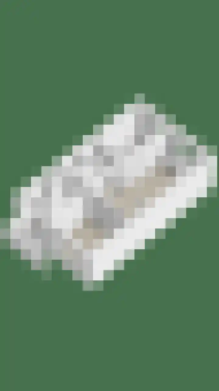 Grasmier 15 Eindhoven thumbnail 31