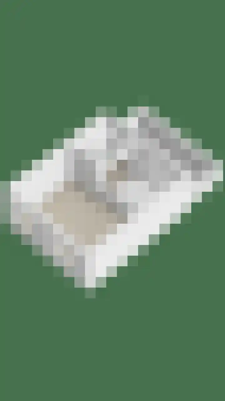 Grasmier 15 Eindhoven thumbnail 32