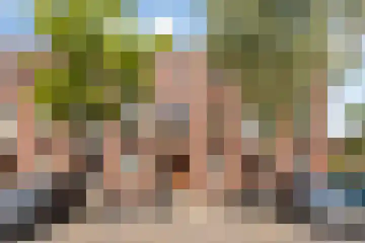 Grasmier 15 Eindhoven thumbnail 34