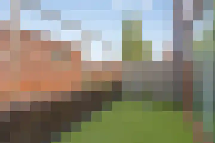 Grasmier 15 Eindhoven thumbnail 4