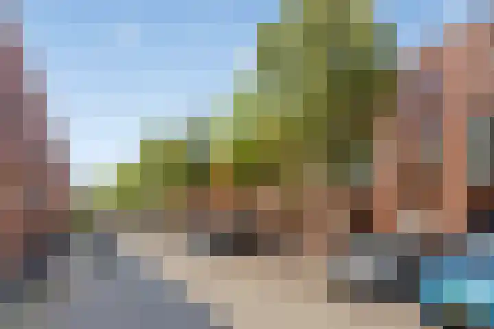 Grasmier 15 Eindhoven thumbnail 5
