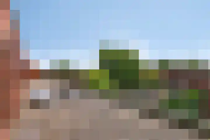 Grasmier 2 Eindhoven thumbnail 27