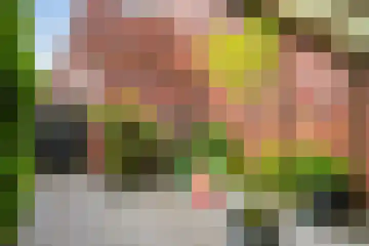 Grasmier 2 Eindhoven thumbnail 30