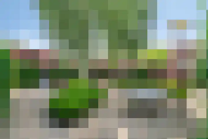 Grasmier 2 Eindhoven thumbnail 34