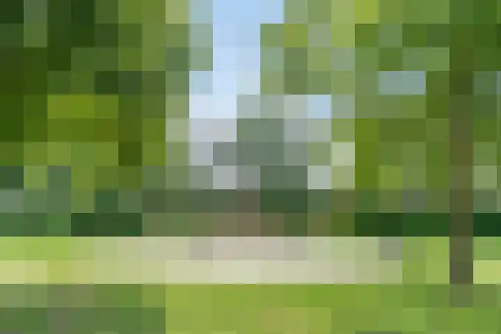 Grasmier 2 Eindhoven thumbnail 36