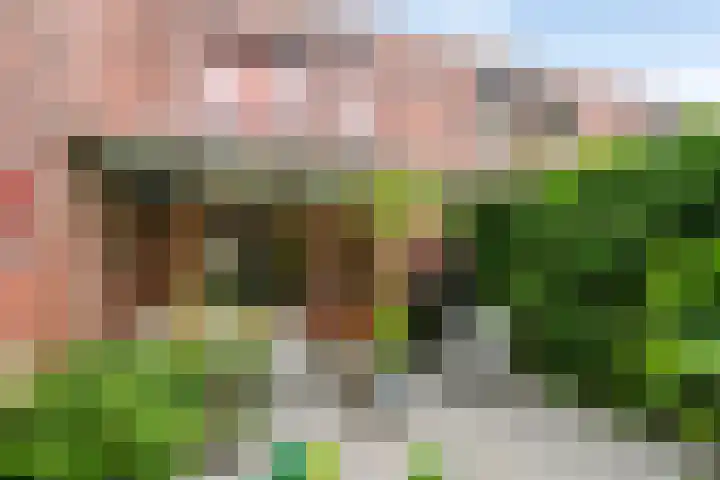 Grasmier 2 Eindhoven thumbnail 6