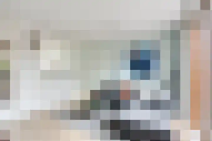 Grasmier 7 Eindhoven thumbnail 13