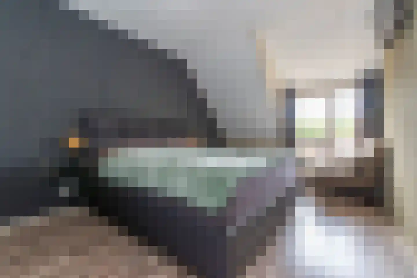 Grasmus 11 Veenendaal thumbnail 14