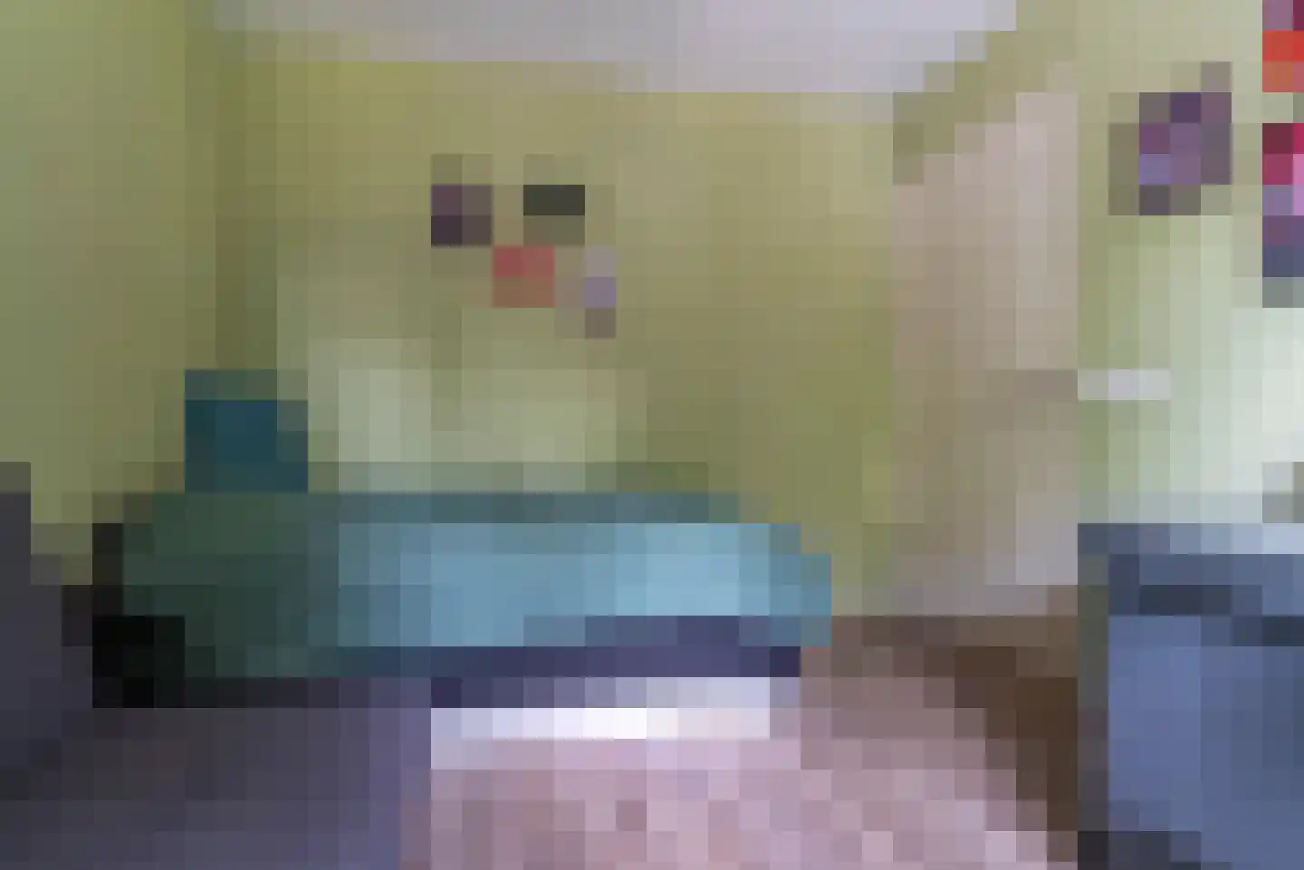 Grasmus 11 Veenendaal thumbnail 17